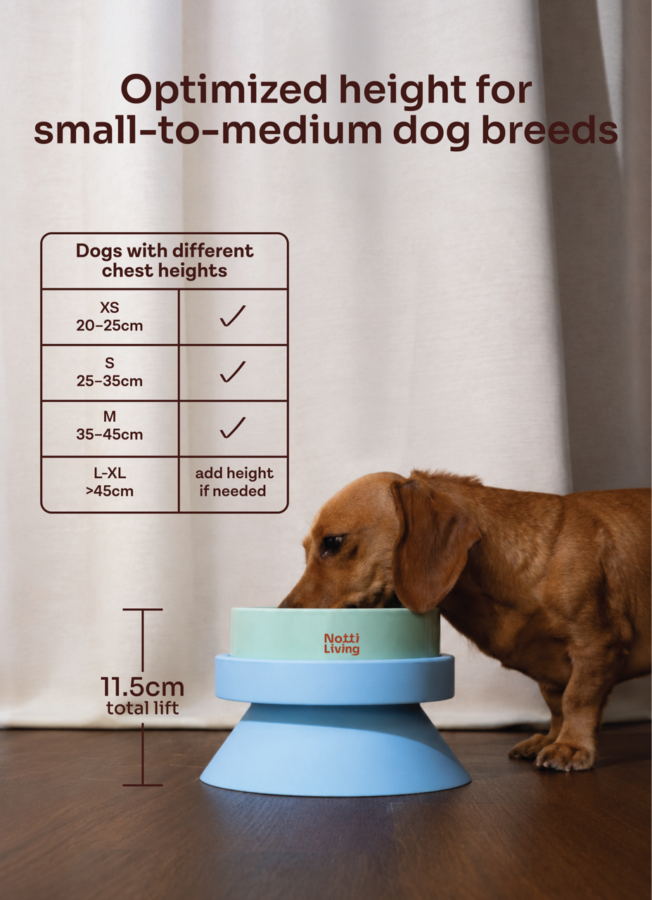 001 Pet Food Bowl Stand