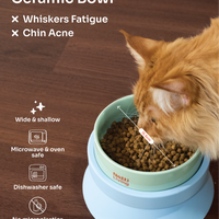 001 Pet Food Bowl