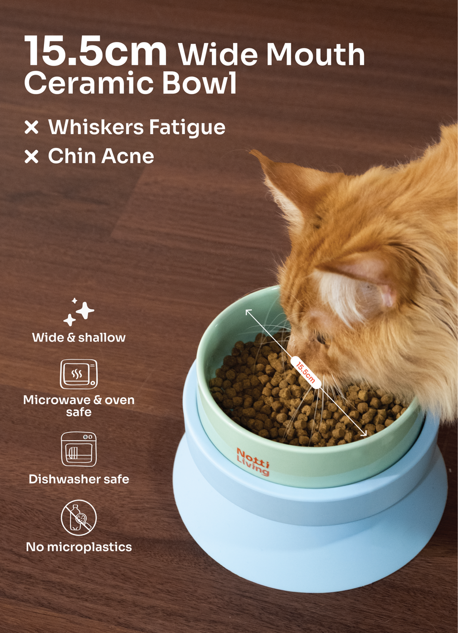 001 Pet Food Bowl