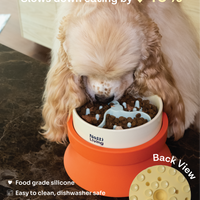 Slow Feeding Accessory