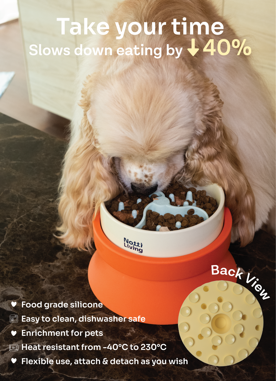 Slow Feeding Accessory