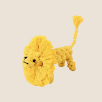 Notti Singa