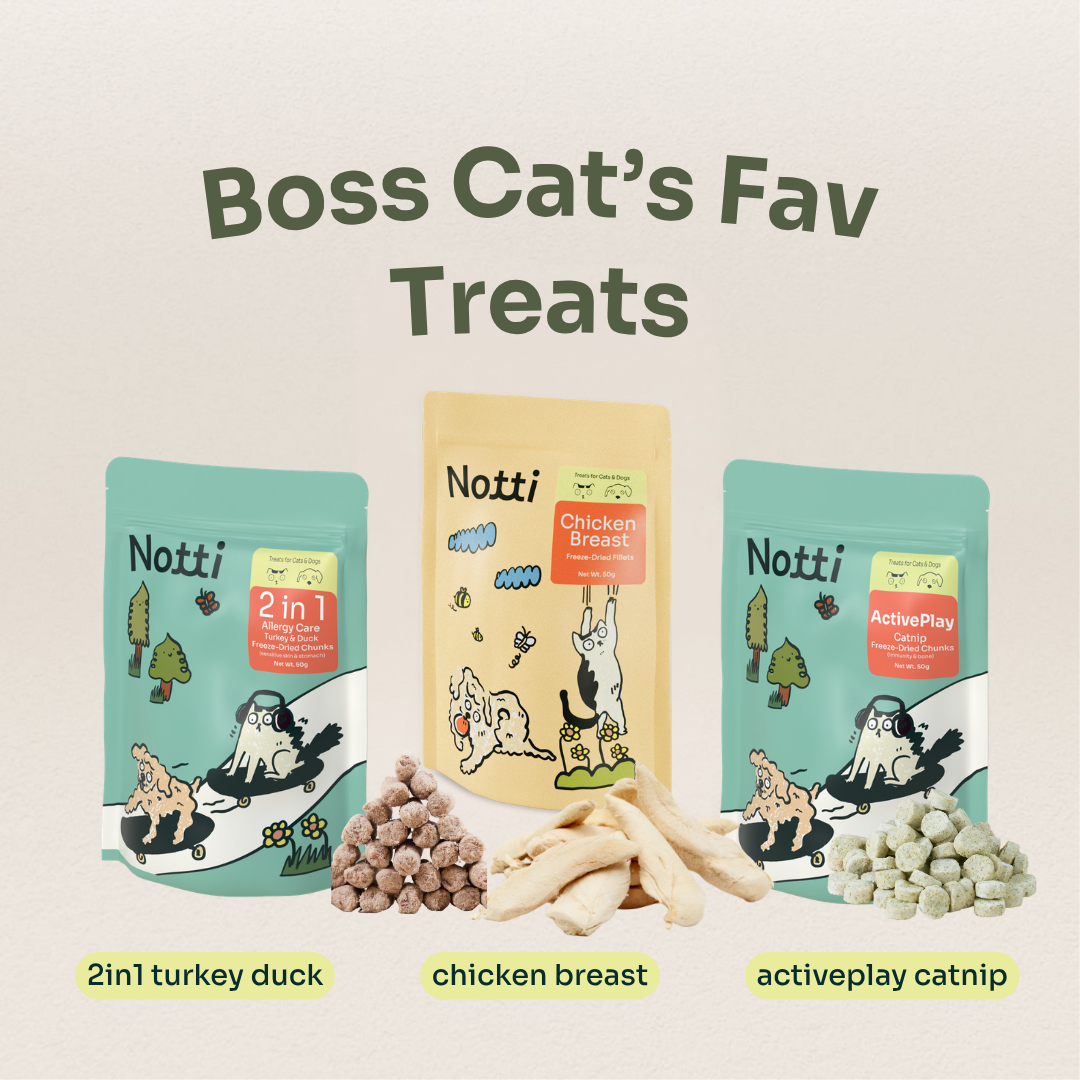 Boss Cat’s Fav Treats