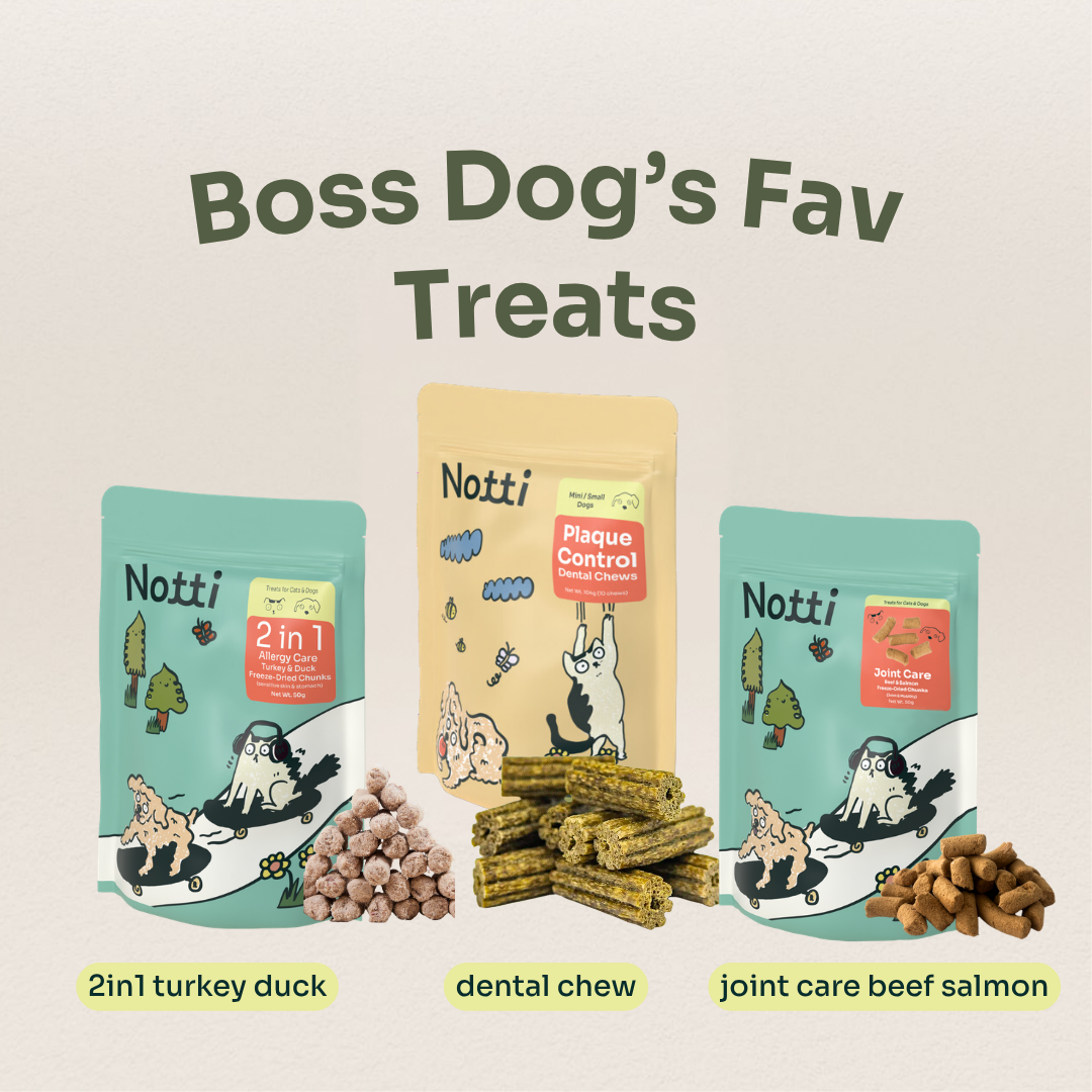 Boss Dog’s Fav Treats