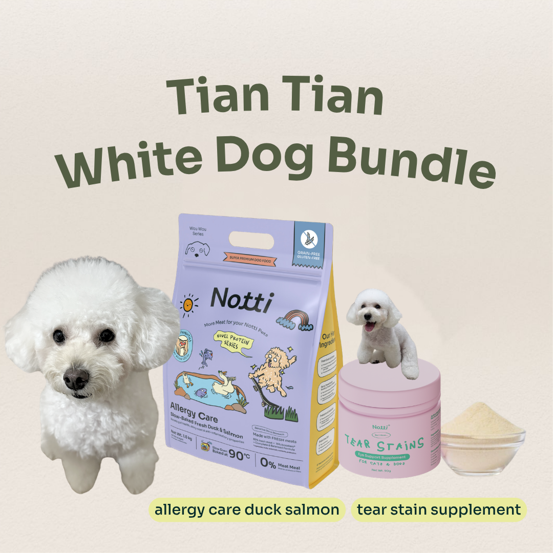 Tian Tian White Dog Bundle