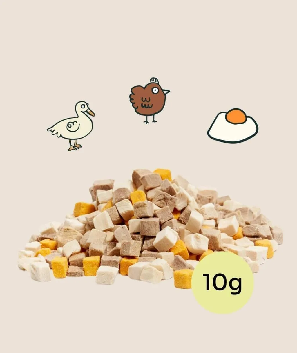 (10g) 3-in-1 Protein Booster Freeze-Dried Cubes Trial Pack
