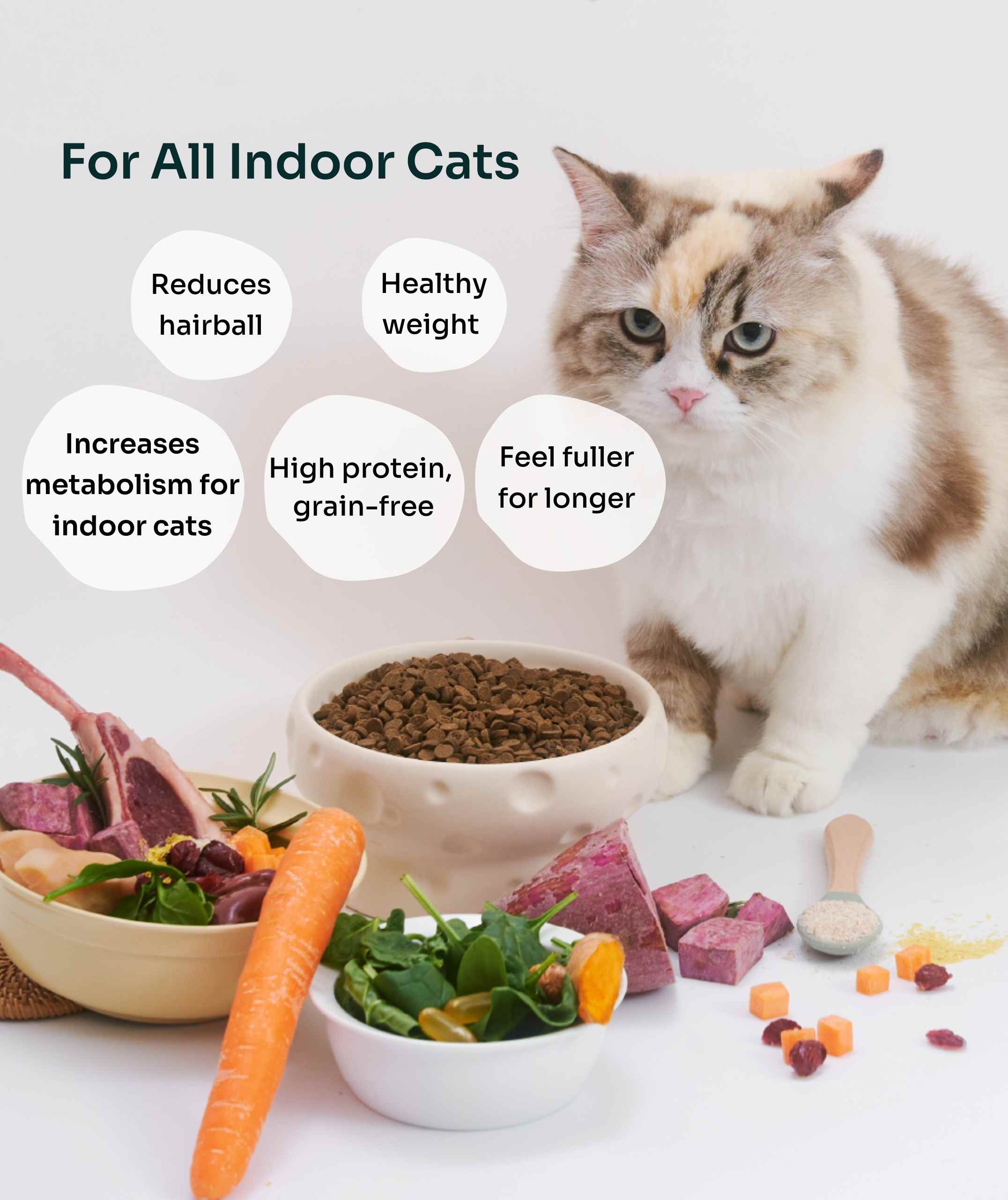 (For Indoor Cats) Slow-Baked Fresh Chicken & Lamb Weight Care