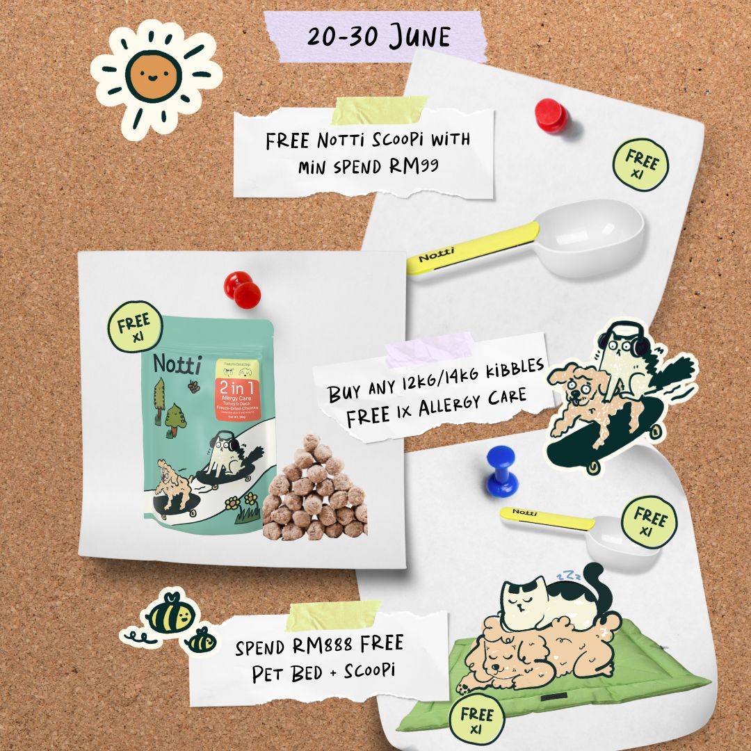 20junethumbnail 20junethumbnail