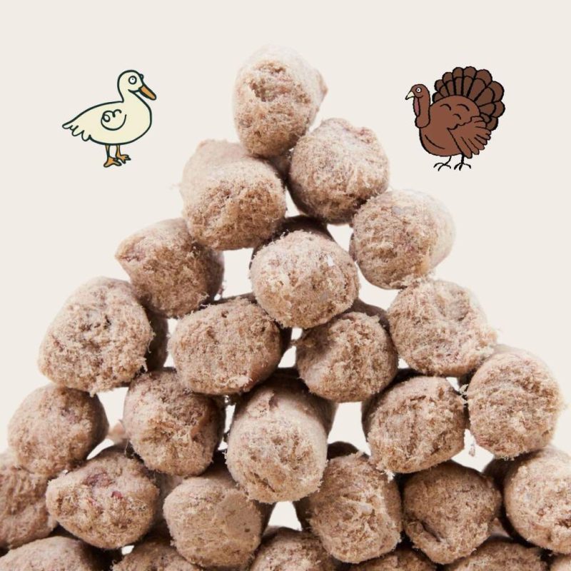 2-in-1 Allergy Care Turkey & Duck Freeze-Dried Chunks